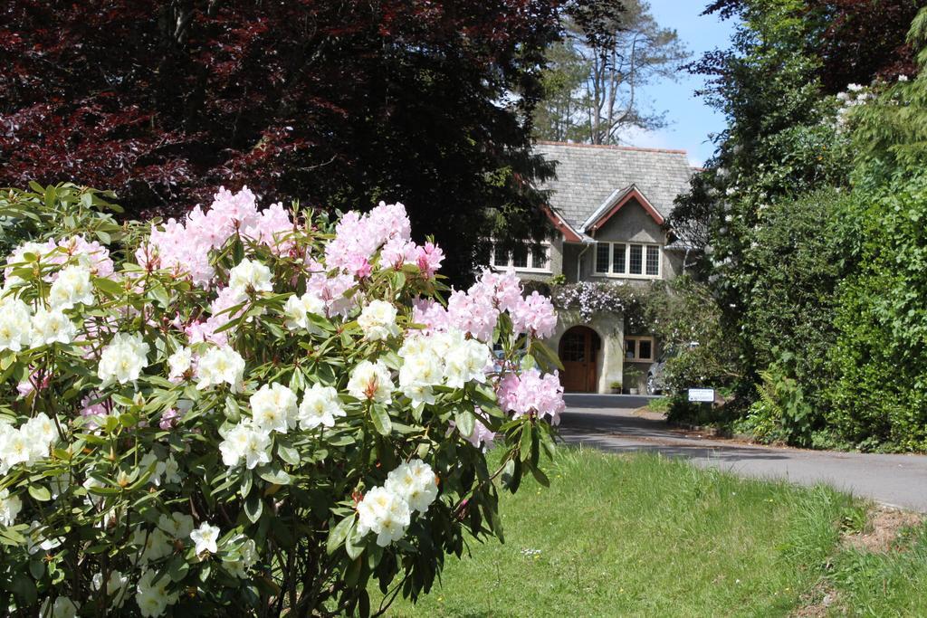 Knapp House Lodges East Anstey Exteriér fotografie